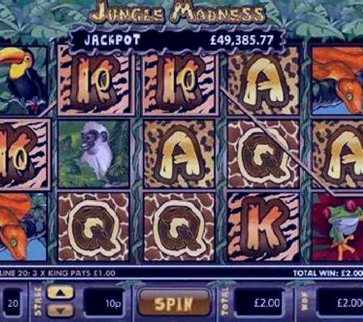 Jungle Madness slot