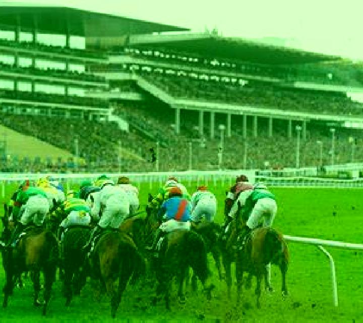 Virtual! Horse Racing at Cheltenham Festival slot