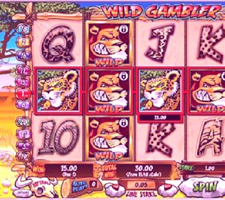 Wild Gambler slot